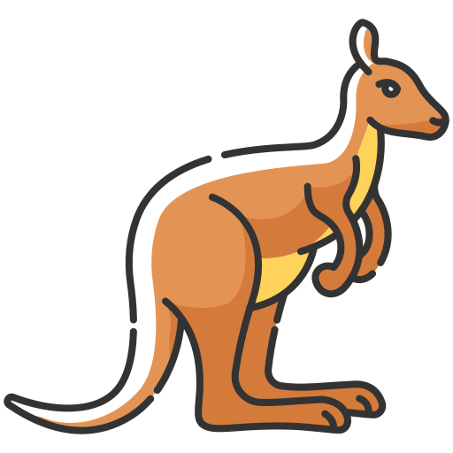 an australian kangaroo